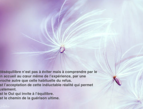 Invitation du jour 5