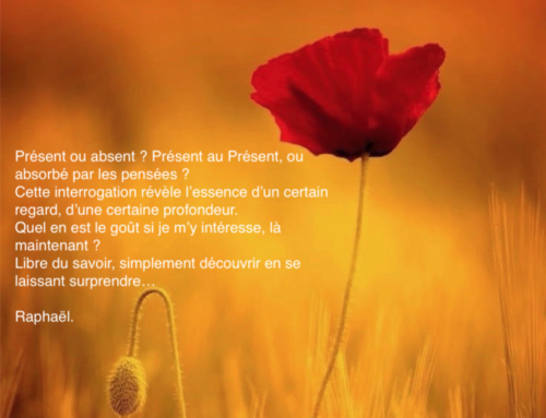 Invitation du jour 7