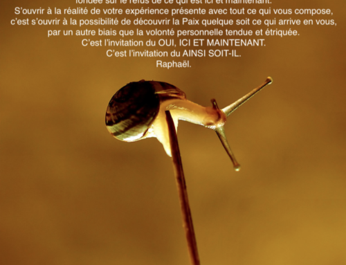 Invitation du jour 8