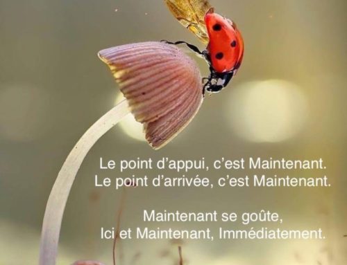 Invitation du jour 14